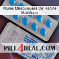 Pilules Miraculeuses De Racine Maléfique new15
